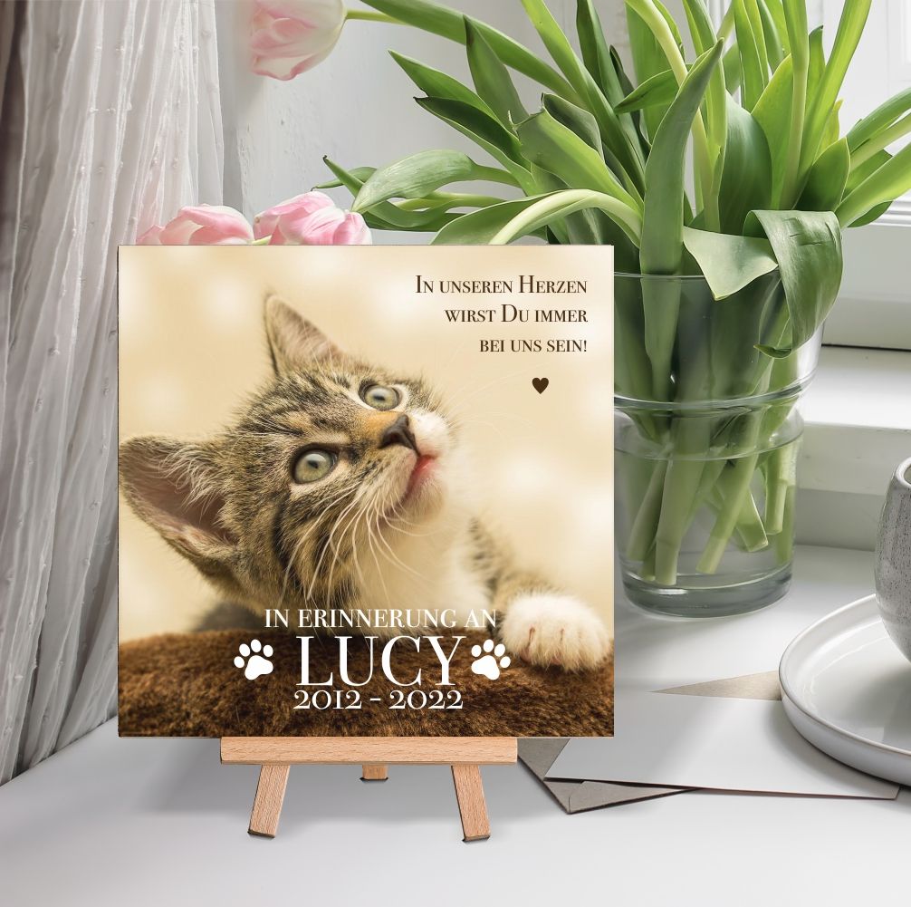 Personalisierte Holzbilder mit eigenen Foto | originelle Geschenke für Katzenliebhaber Trauergeschenk Regenbogenbrücke Kondolenz Geschenk Erinnerungsgeschenk Trauer Katze gestroben Regenbogenbrücke Geschenkidee für Katzenbesitzer Verlust eines Haustiers beste Katzen gedenktafel trauersprüche memorial regenbogen andenken grabplatte trauerwindlicht trauerkerze beileid beispiele grabdeko Fotogeschenke